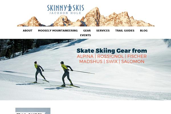 Virtue Premium theme site design template sample