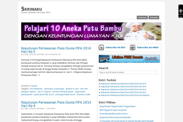 WordPress website example screenshot