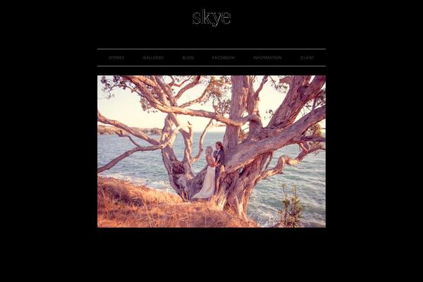 skyecarter.co.nz site used Skye