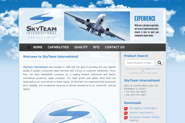 skyteam theme websites examples