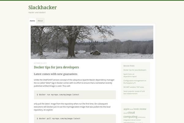 WordPress website example screenshot