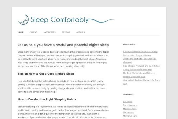 WordPress website example screenshot