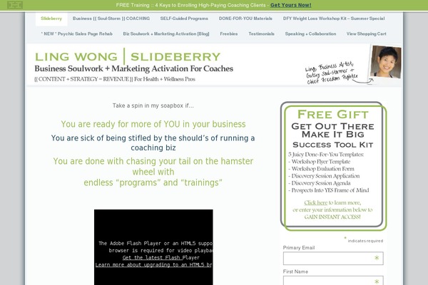 slideberry.com site used News Pro