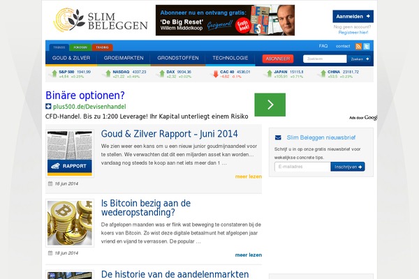 slimbeleggen theme websites examples