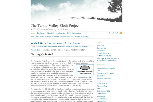 Tarski theme site design template sample