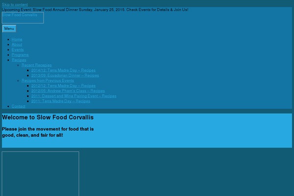 WordPress website example screenshot