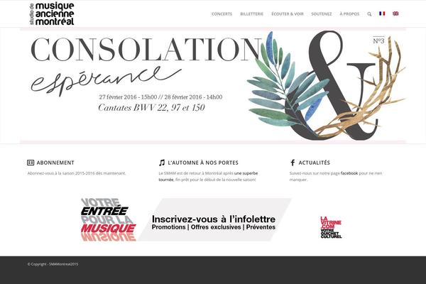Enfold theme site design template sample