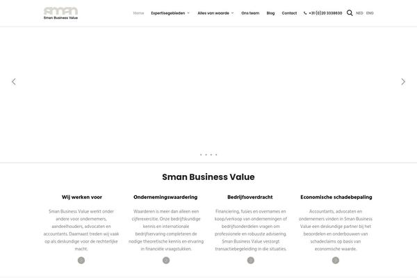 Skyetheme theme site design template sample