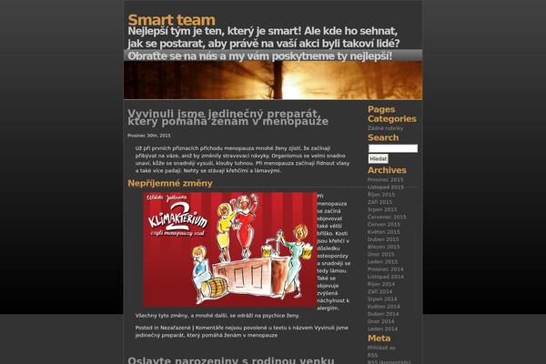 smart-team.cz site used Into-the-light