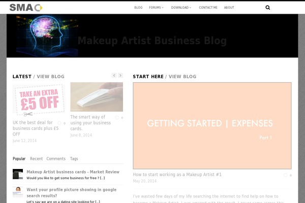 smartmakeupartist.com site used Pinspro