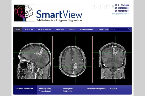 smartview.co site used Smartviewtheme