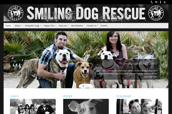 Tempera theme site design template sample