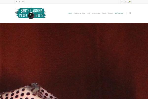 Salient theme site design template sample