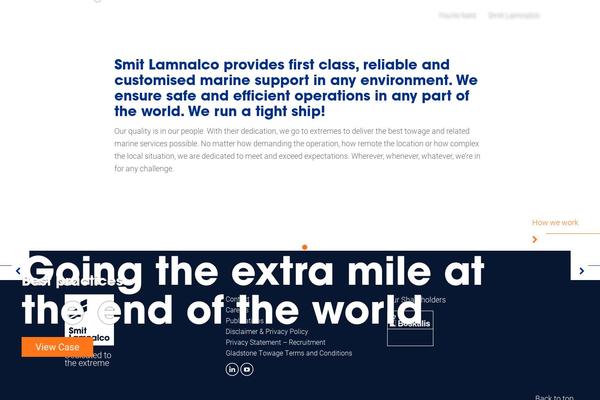 Site using SVG Support plugin