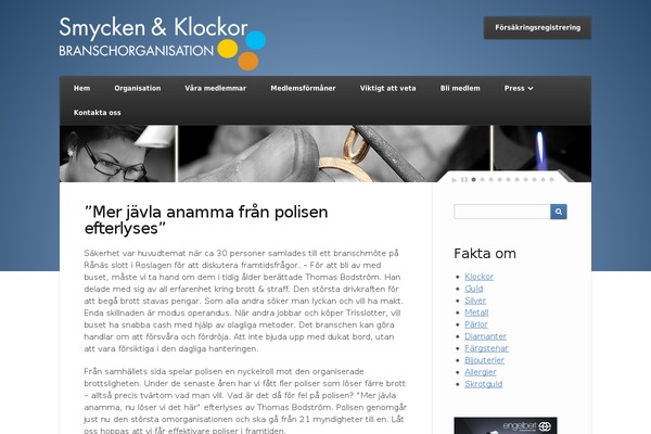 WordPress website example screenshot