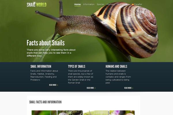 snail-world.com site used Fusion-child