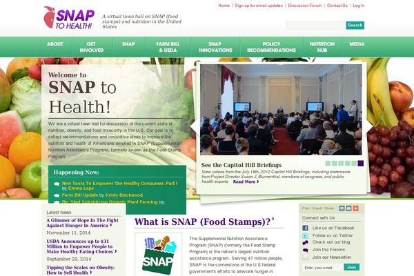 Snap theme site design template sample
