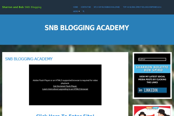 snbbloggingacademy.com site used Theme_2