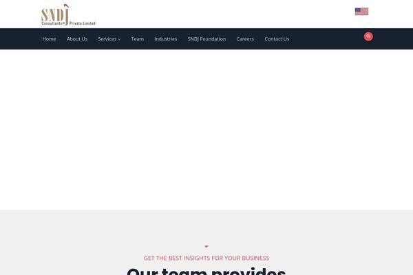 Vizeon theme site design template sample