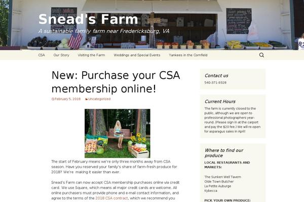 Twenty Thirteen theme site design template sample