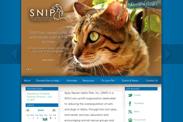 snipidaho.org site used Snip