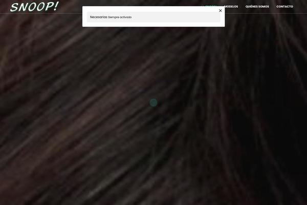 snoop.es site used Mysnoop