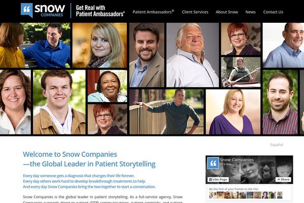 snow-companies.com site used Snow-companies