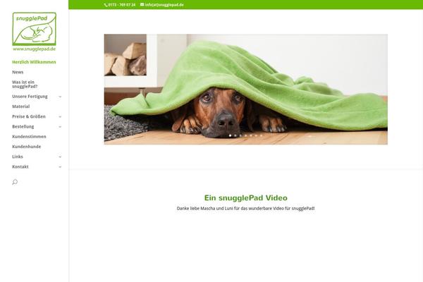 Divi theme site design template sample
