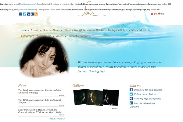 WordPress website example screenshot