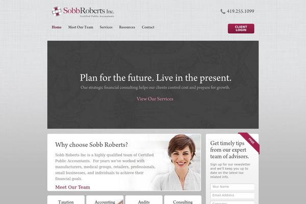 Sr theme site design template sample