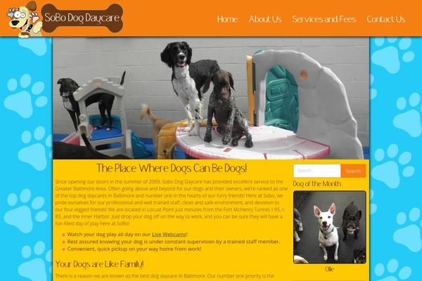 Site using Alpine PhotoTile for Instagram plugin