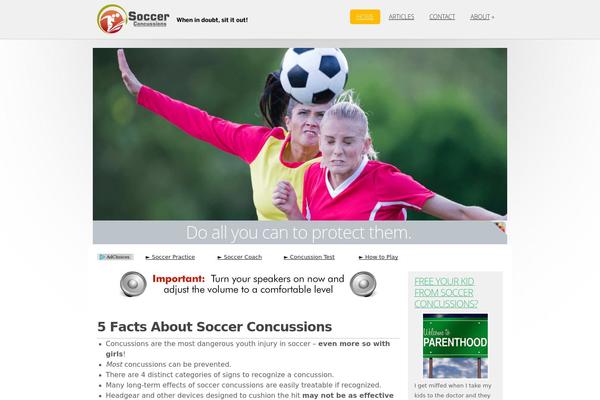soccerconcussion.com site used Dynamik