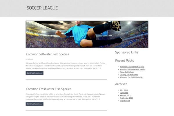 soccerleague.com site used Seoc-cleanonline