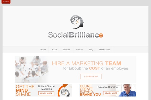 social-brilliance.com site used Antagonist