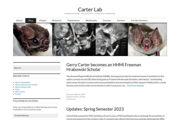Site using Gutenberg-core plugin