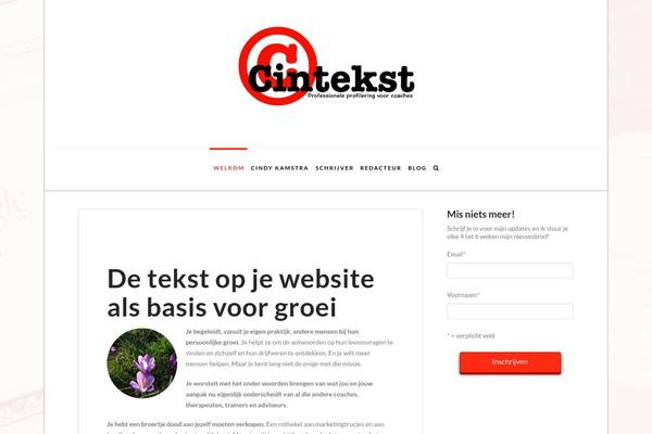 socialeads.nl site used X | The Theme