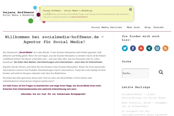 WordPress website example screenshot