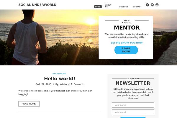 socialunderworld.com site used Marketing-expert