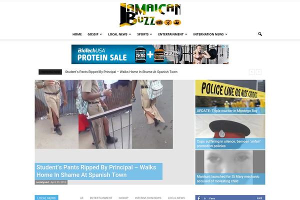WordPress website example screenshot