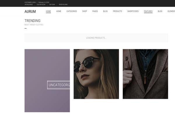 Aurum theme site design template sample