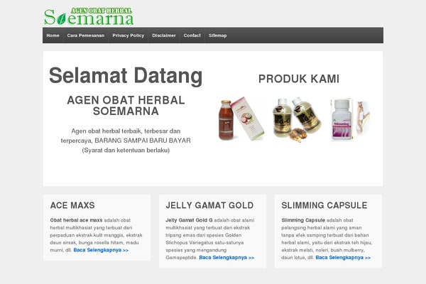 Responsive theme site design template sample