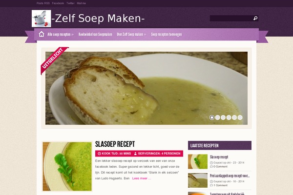 Zylyz theme site design template sample