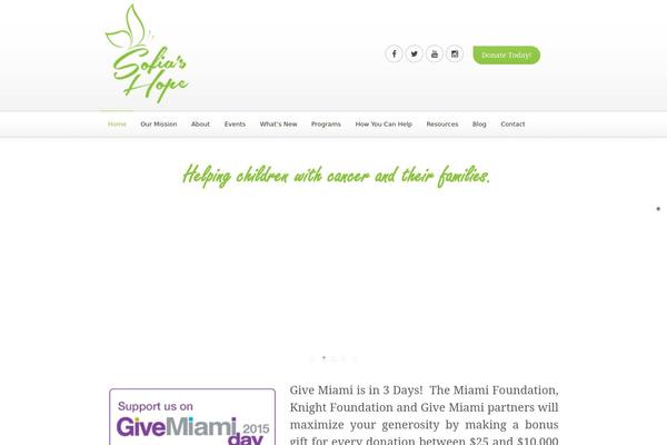 DonateNow website example screenshot