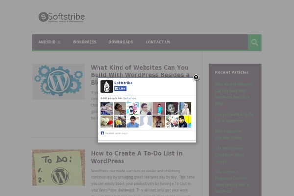 softstribe.com site used Tribe-v1