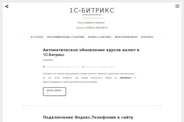 WordPress website example screenshot