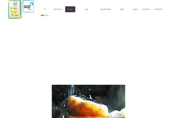 Dfd-ronneby theme site design template sample