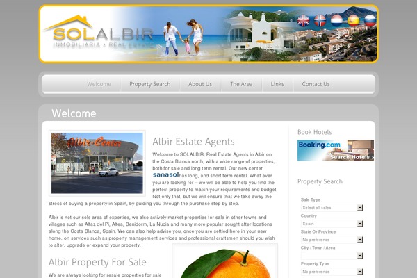 solalbir.com site used Divi-alphawebs-1