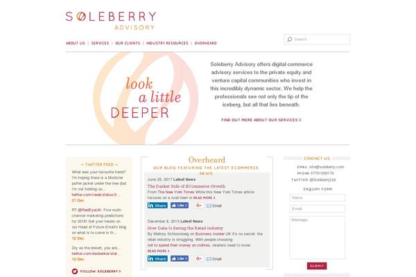 soleberry.com site used Soleberry
