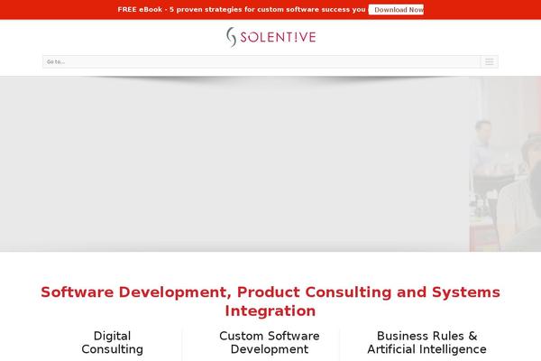 Solentive theme websites examples