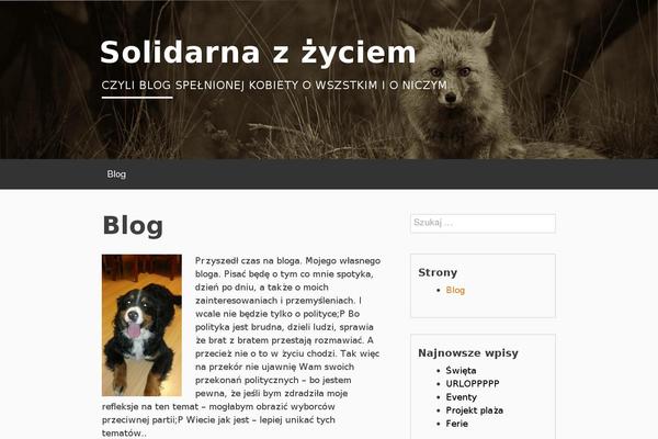 solidarna.org.pl site used BlogSixteen